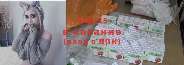 стаф Алзамай