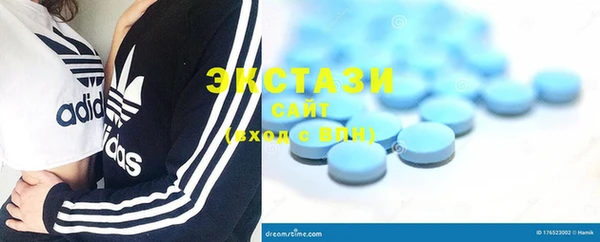 стаф Алзамай