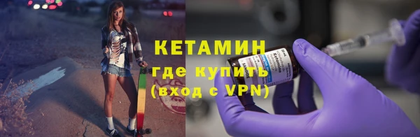 стаф Алзамай
