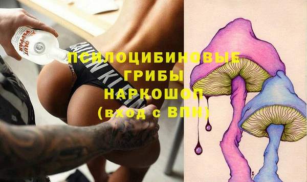 стаф Алзамай