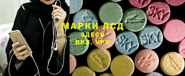 стаф Алзамай