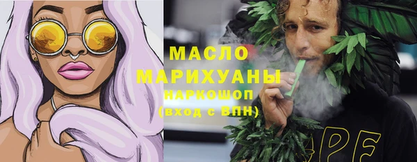 молекула духа Вяземский