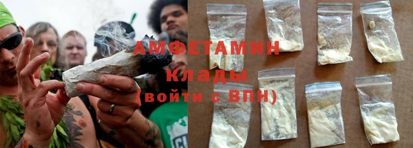 стаф Алзамай