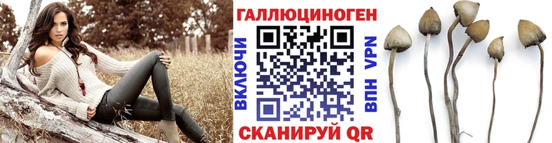 Галлюциногенные грибы Magic Shrooms  Осинники 